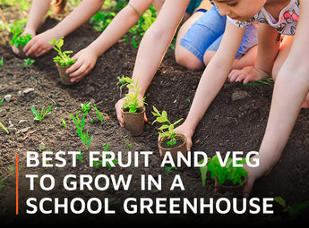 Best fruit and veg to grow in a school greenhouse
