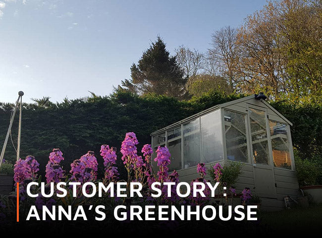 Customer story: Anna's greenhouse
