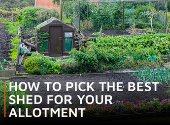 How to pick the best shed for your allotment