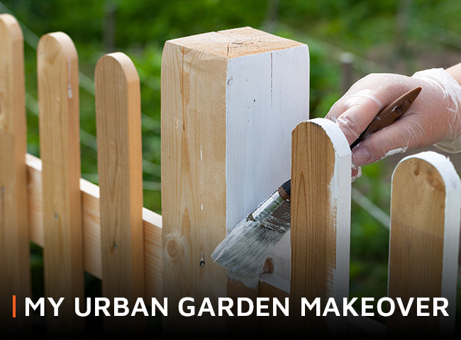 My urban garden makeover