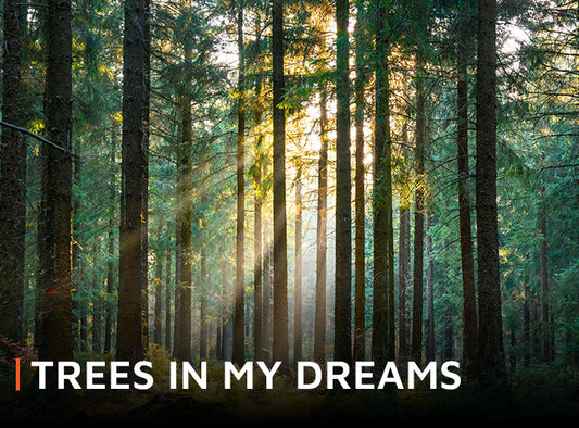 Trees in my Dreams