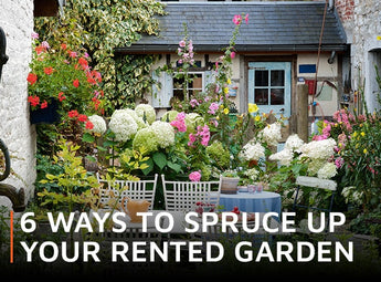 6 ways to spruce up your rented garden