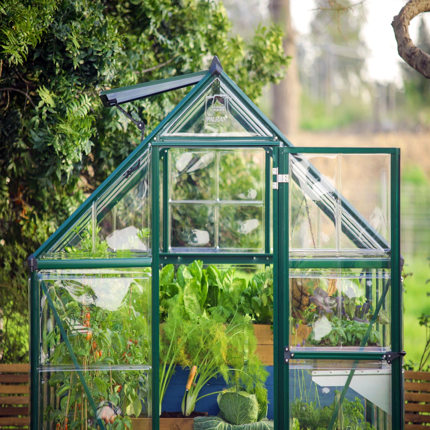 Canopia by Palram 6 x 6 Hybrid Greenhouse Green