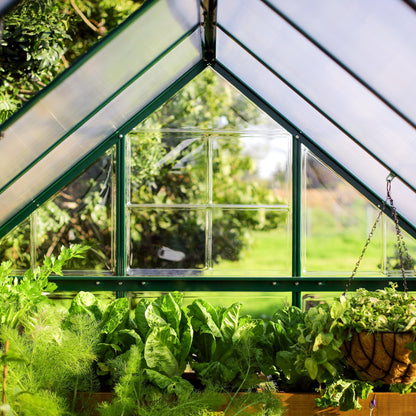 Canopia by Palram 6 x 12 Hybrid Greenhouse Green