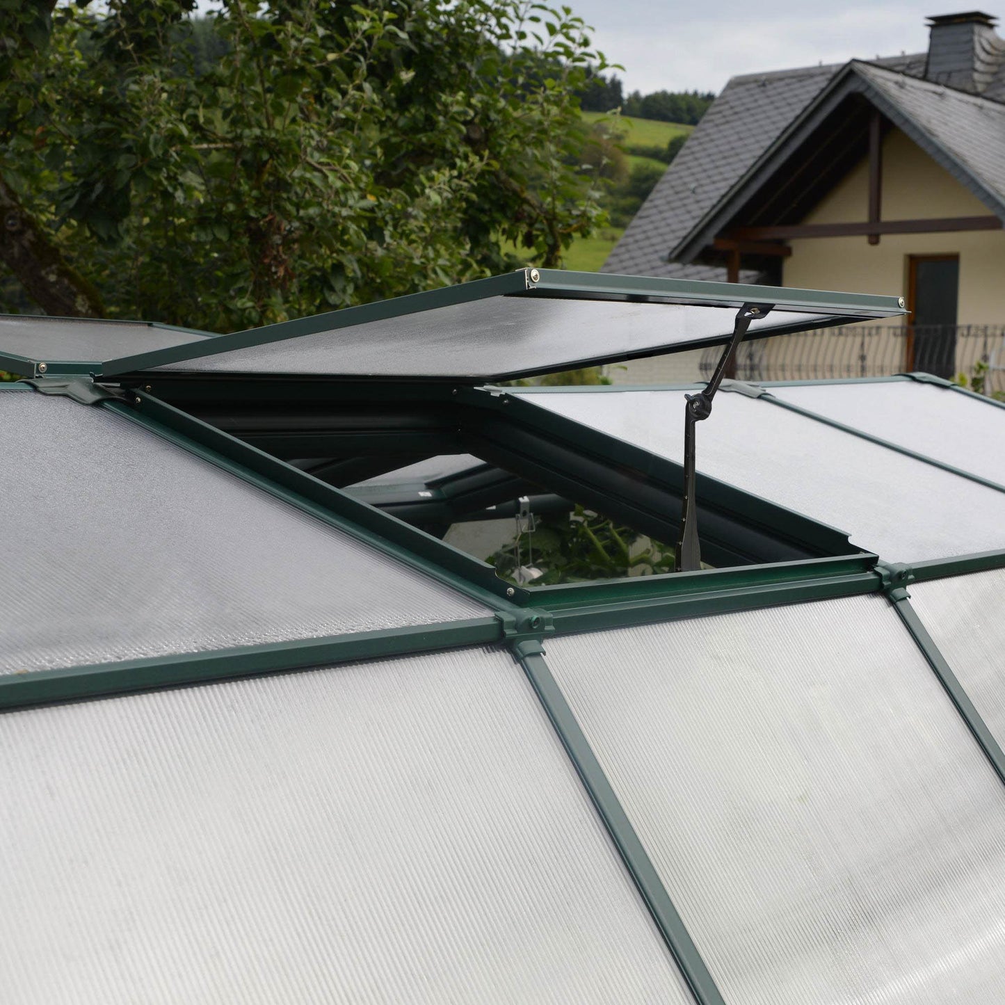 greenhouse with opening vent window