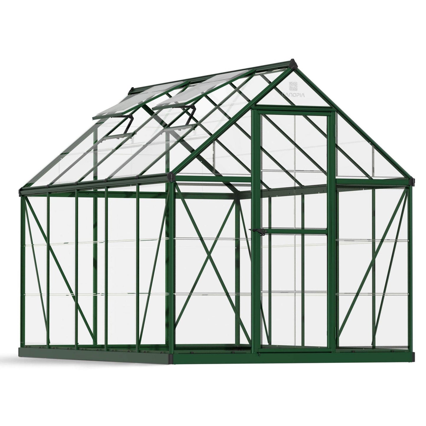 Canopia by Palram Harmony 6 x 10 Green Greenhouse