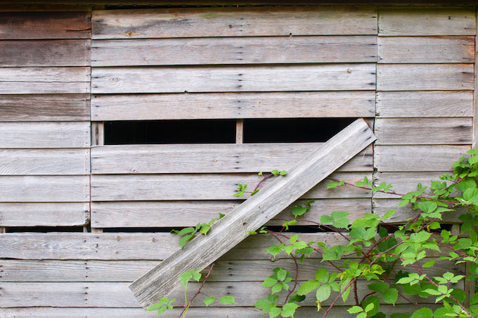 Damaged shed with slat missing Damaged shed with slat missing