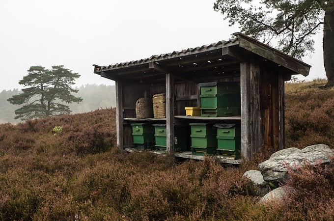 Beekeeping in an old shed Beekeeping in an old shed
