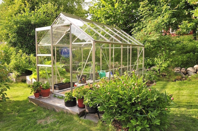 Ease of access around aluminium greenhouse Ease of access around aluminium greenhouse