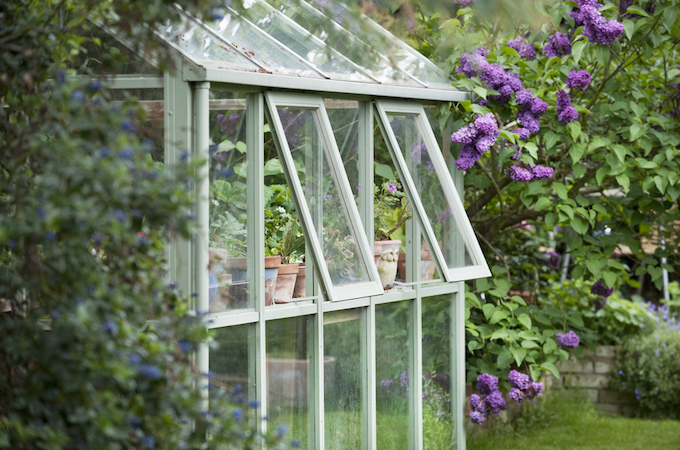 Greenhouse ventilation in garden