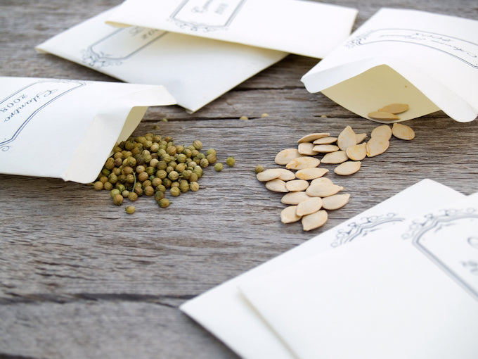 Scattered seed packets on table Scattered seed packets on table