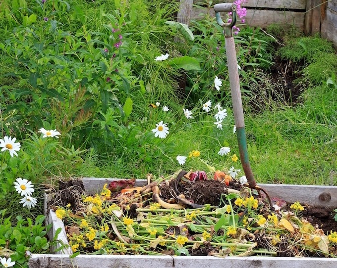 Full compost bin in garden Full compost bin in garden