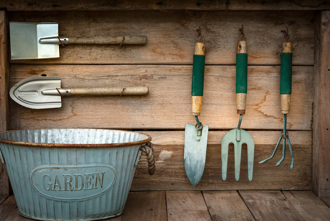 Hand tools and basket in greenhouse Hand tools and basket in greenhouse