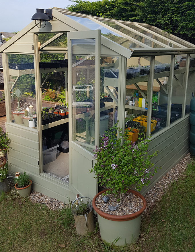 Side view of Waltons Evesham painted greenhouse Side view of Waltons Evesham painted greenhouse