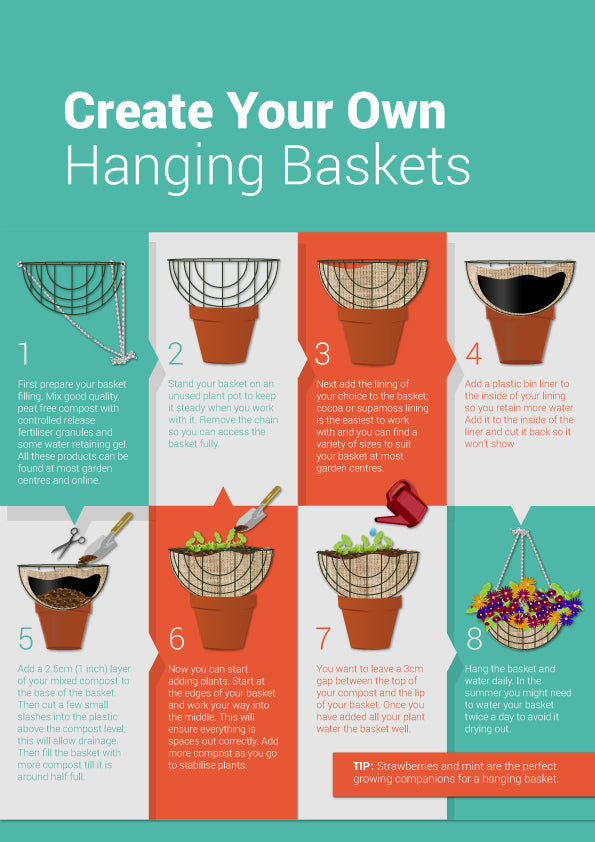 Hanging Basket Tutorial & Infographic Waltons Blog Waltons Sheds