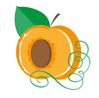 apricot-illustration apricot-illustration