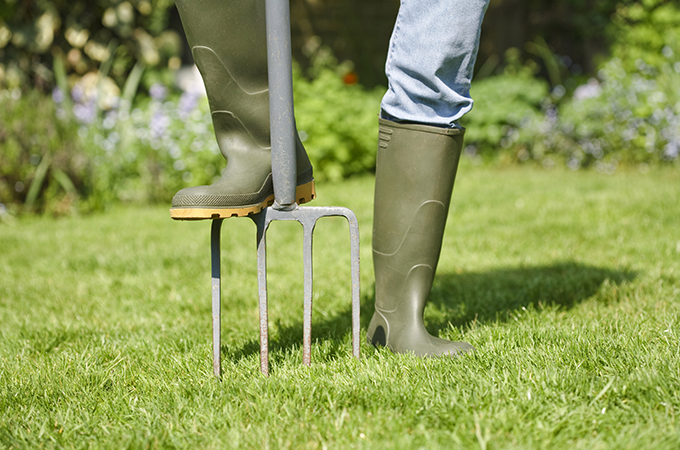 Pitch fork on a lawn Pitch fork on a lawn