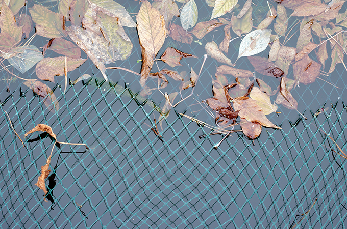 Netting over a pond Netting over a pond