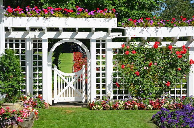 A white painted trellis that divides the garden A white painted trellis that divides the garden