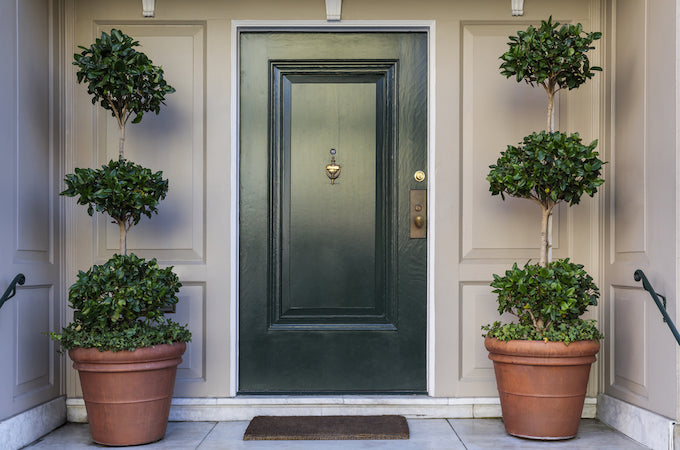 two planters on either side of a door frame
