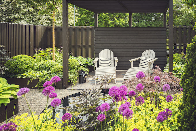 Garden with decking, chairs and allium Garden with decking, chairs and allium