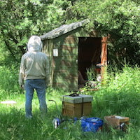 “Beekeeping
