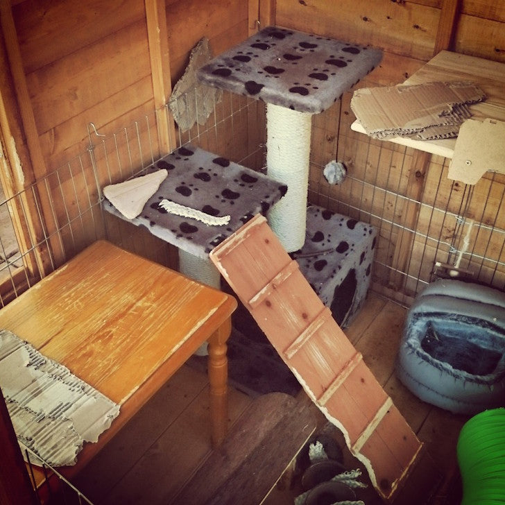 rabbit play houses