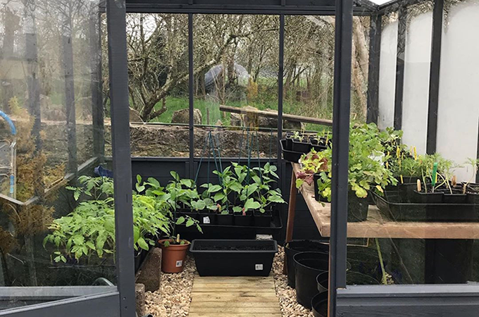 devoncottagegarden devoncottagegarden