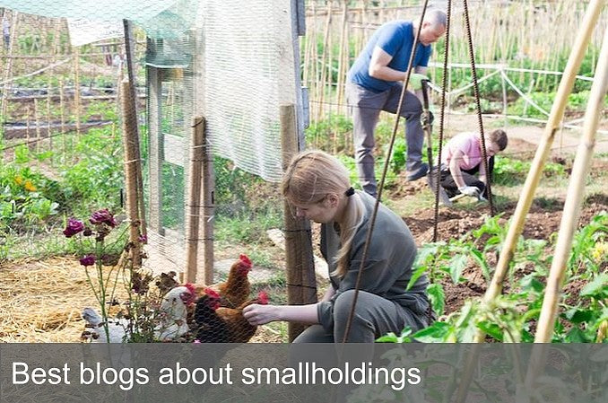Best blogs about smallholdings
