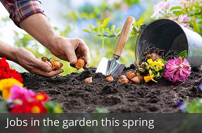 Jobs in the garden this spring