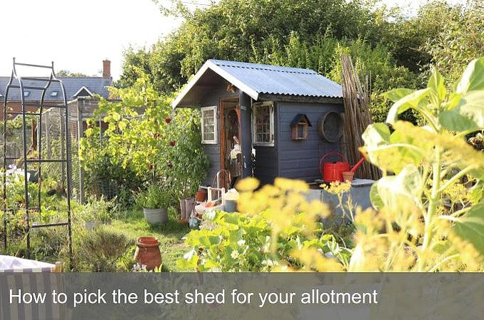 How to pick the best shed for your allotment