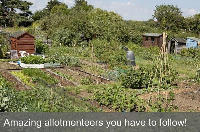 Amazing allotmenteers you have to follow