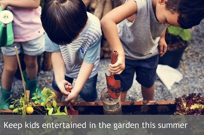 Keep kids entertained in the garden this summer!