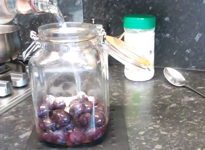 Starting making damson vodka Starting making damson vodka