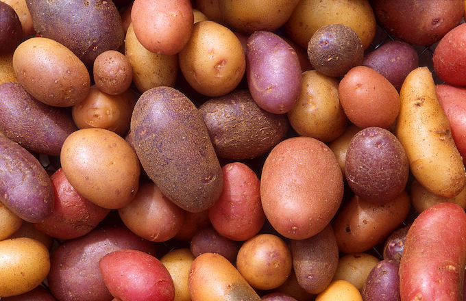 mixed varieties of potatoes mixed varieties of potatoes