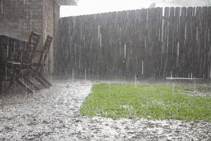 raining hard in the garden