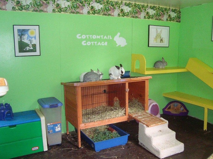 cottontail cottage
