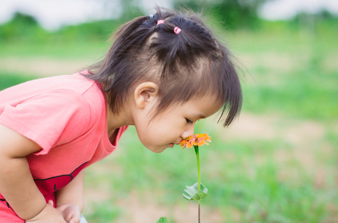little child in a pink t-shirt smelling an orange flower
