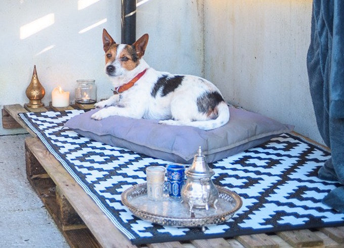 strawberry squeeze dog on pallet bed strawberry squeeze dog on pallet bed