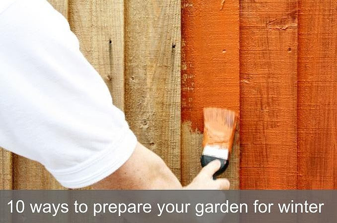 10 ways to prepare your garden for winter