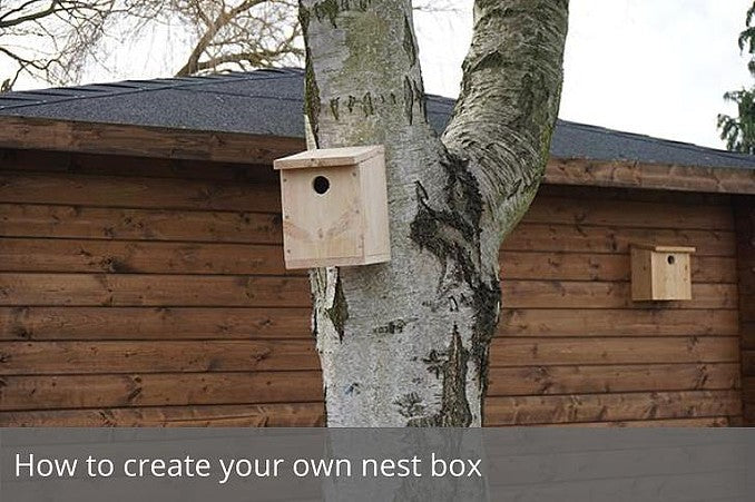 How to make your own nest box