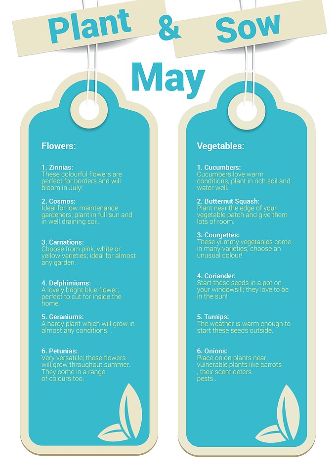 What to Plant & Sow in May
