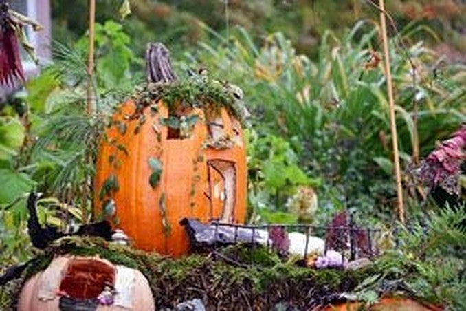 22 awesome pumpkin gardens