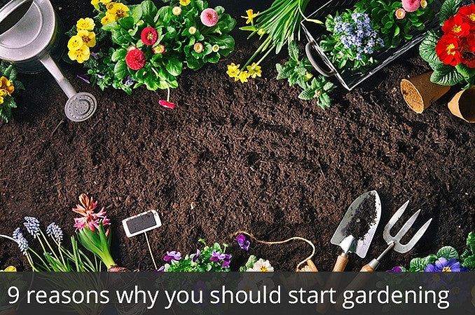 9 reasons why you should start gardening