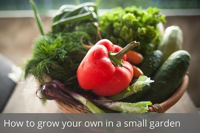 How to grow your own in a small garden