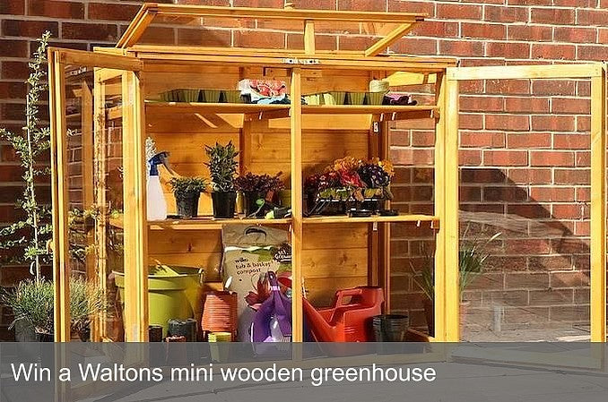 Win a wooden greenhouse with the Waltons eco quiz