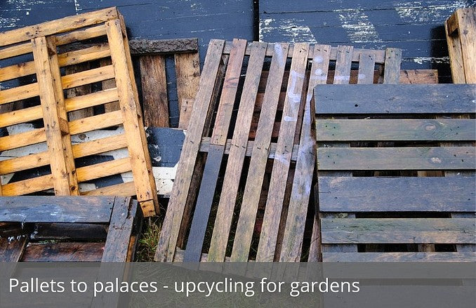 Pallets to palaces - upcycling for gardens