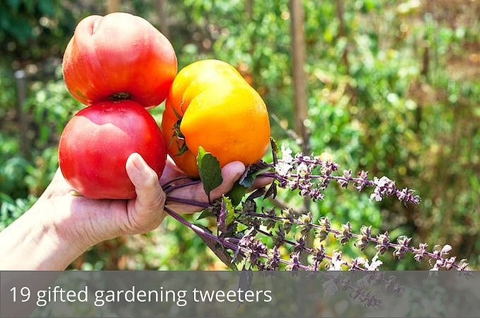 19 gifted gardening tweeters