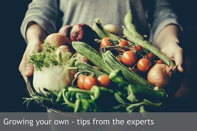 Growing your own - tips from the experts