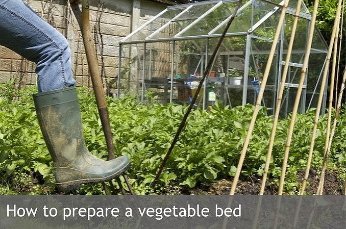 How to prepare a vegetable bed